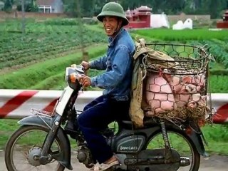 Vietnam et Vietnamiens