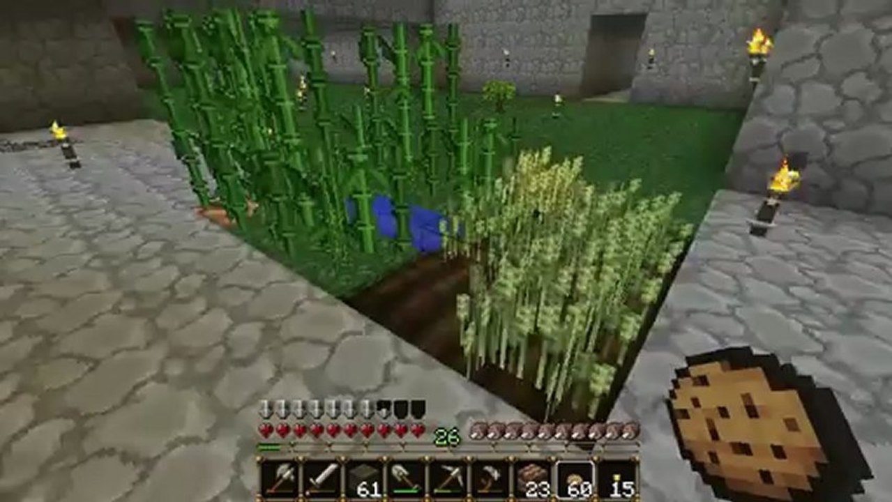 Minecraft Let's Play 134: Herr DK und sein Dschungelholz