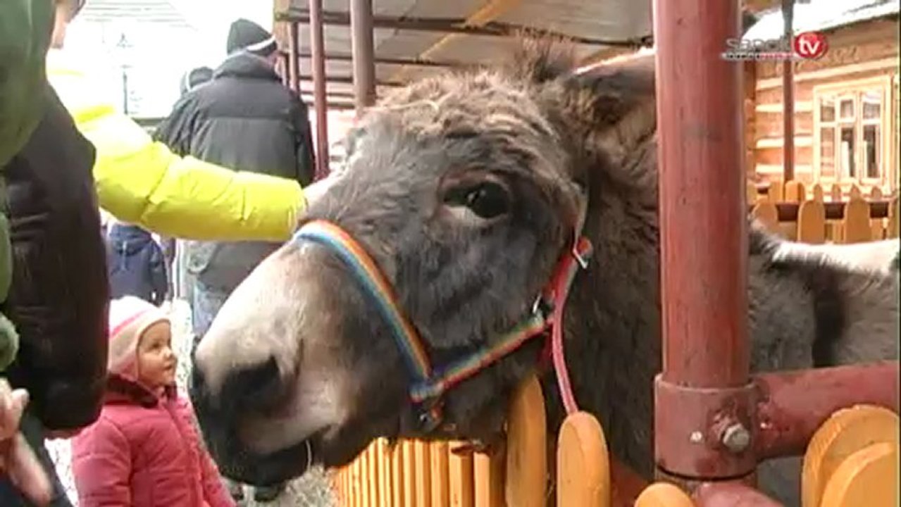 Puls Tygodnia 15.12.2012