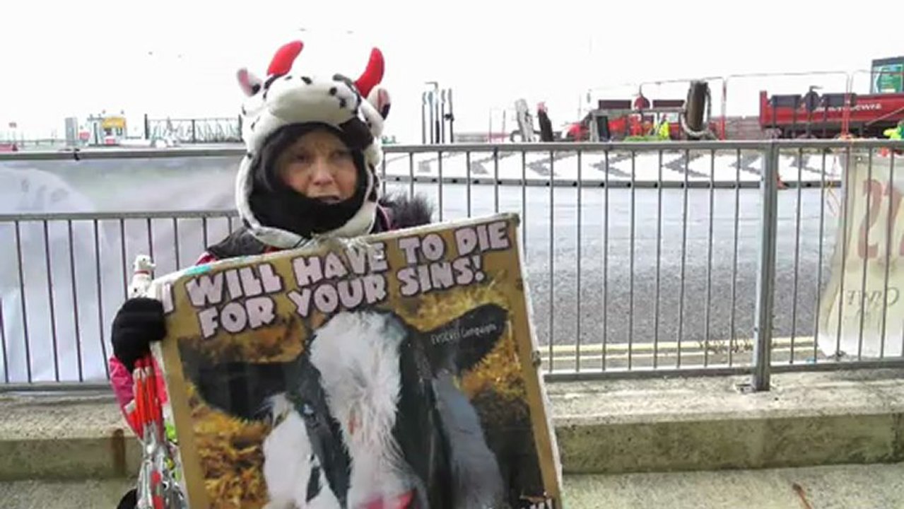 protesters