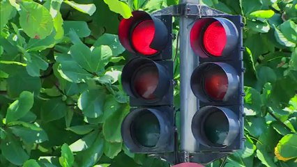 Auto Esporte 23/12/2012 720p