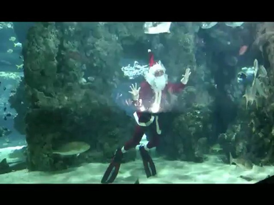 PIERRE FROLLA  EN PERE NOËL  PLONGE AVEC LES REQUINS  A MONACO © Brigitte Lachaud - Sorties Média Presse                                                                                                                                            ©