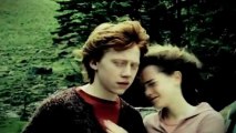 Ron & Hermione | fireflies