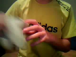 les differentes sortes de nounours