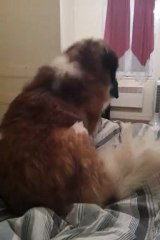 video-2012-12-16-22-36-05