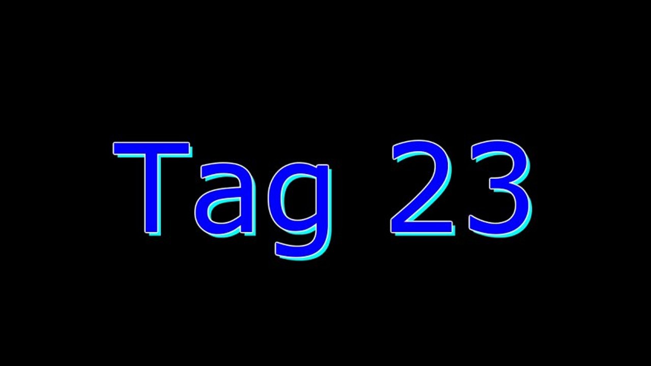 LEGO SW/City Adventskalender (2012) 23 HD