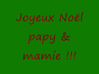 noel papy & mamie 2012_0003