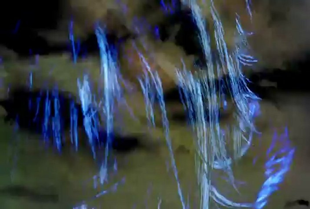 VIRGENOW - ...is dead PV