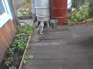 VAMOS MAZÉ PRA CASA :)