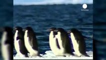 Antartide, il giaccio si scioglie più velocemente