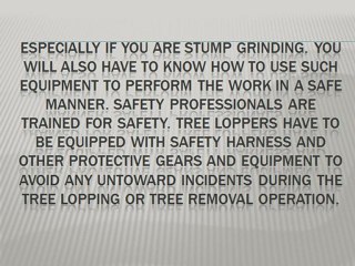 Importance of Hiring a Professional for Storm-Damaged Trees