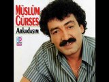 MÜSLÜM GÜRSES -      