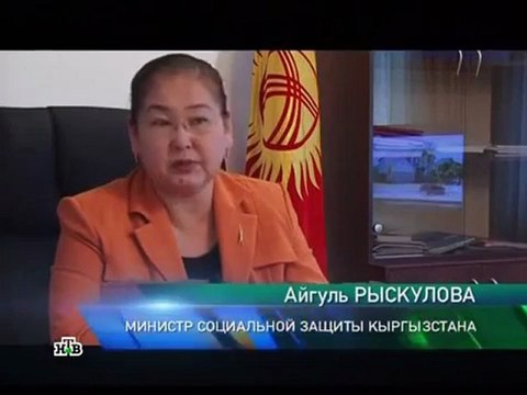 Профессия репортёр Резиновая Россия 15.12.2012