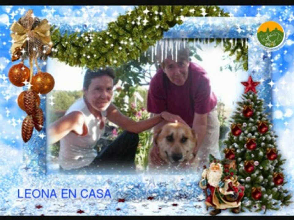 Felicitación Navideña ASPAP 2012