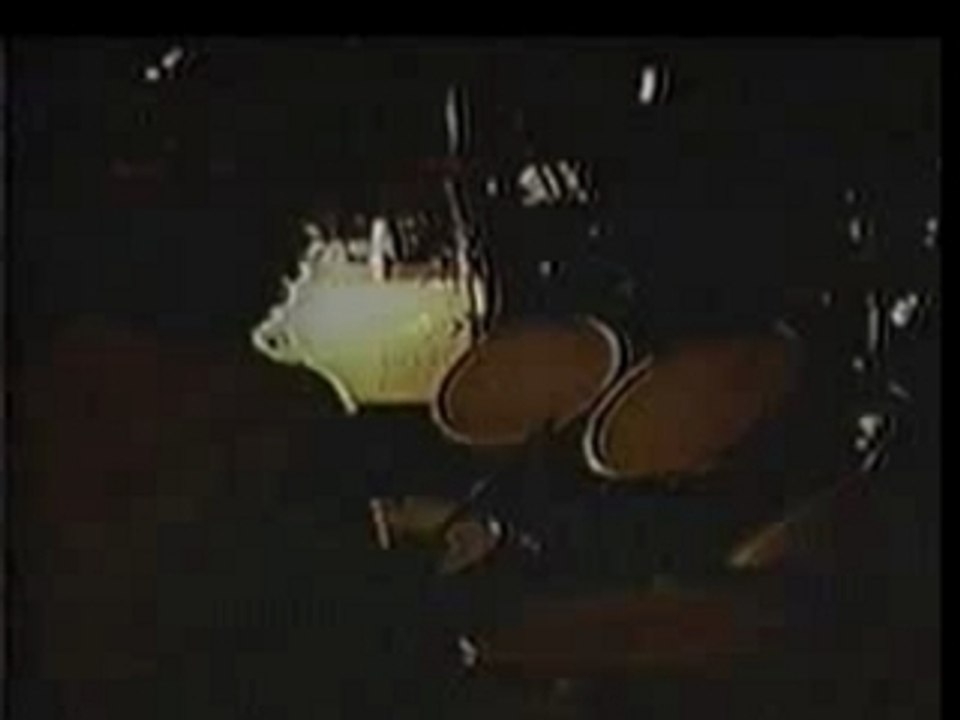Neil Young @coustic Cortez The Killer