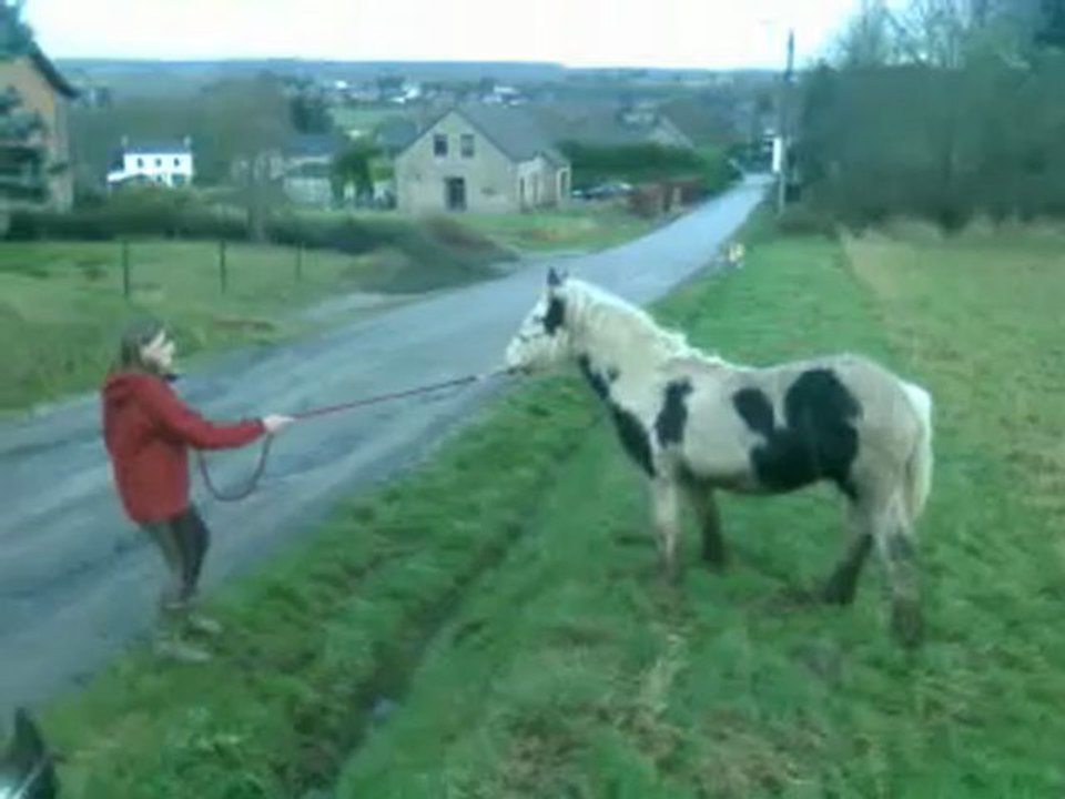 Cap'tain saute un contre bas