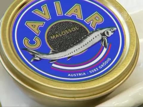 14 тысяч евро за килограмм икры