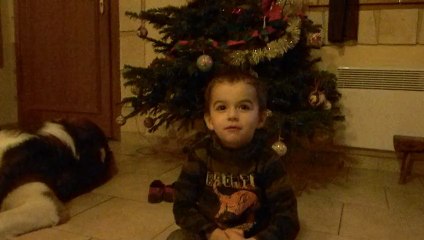 DSCN3036 loulou noel 2012