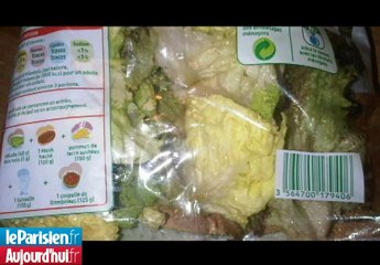 Il trouve une sauterelle dans le sachet de salade