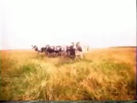 YTV Short Circuitz 1994