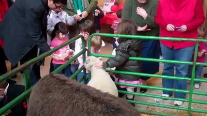 Holiday party celebrates last-minute gifts