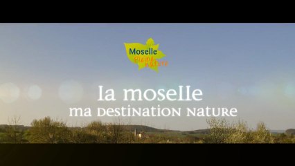 Moselle Pleine Nature