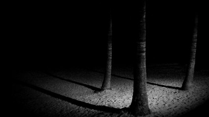 Roots Panorama - Threee (Ripperton Mix)