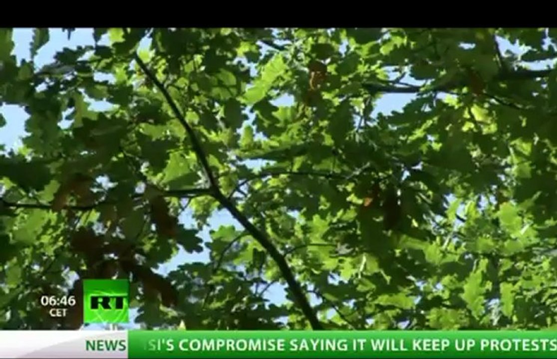 The Russian Versailles: Mesmerizing Peterhof (RT Documentary)