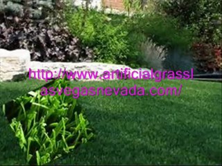 artificial grass las vegas