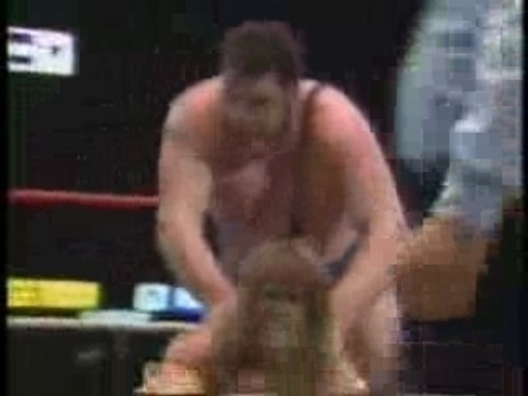 Ultimate Warrior vs Andre The Giant