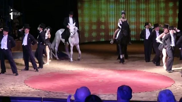 Noël avec Alexis Gruss, quel cirque !