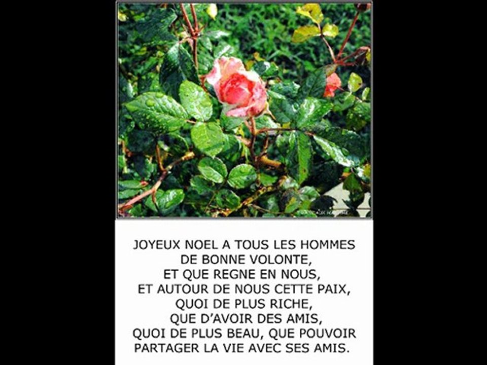 ©NOEL POEME THOMAS ANDRE PHOTOS&PHOTOS-PEINTURES MARTINE ANCIAUX ©