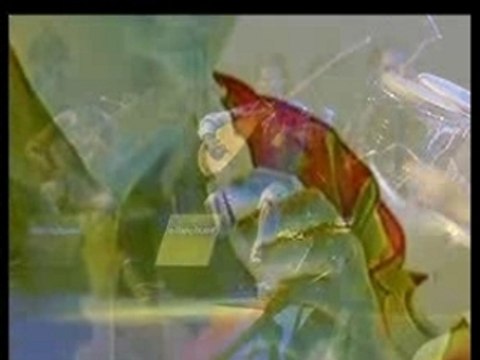 Kardes Turkuler-Turna