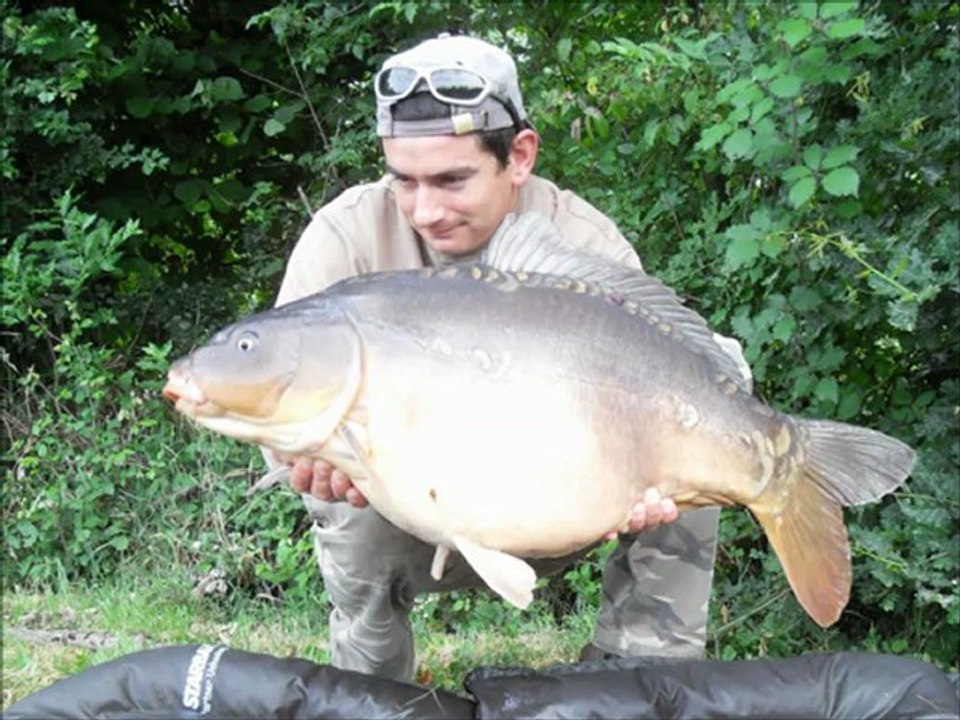 Dream Carp 2..
