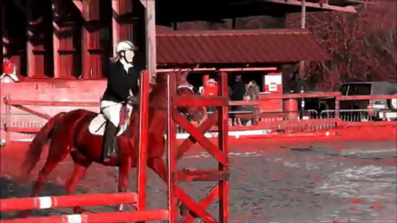 Joyeux Noël! ♥