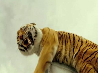 Life of Pi 3D Full Part 1/15 Movie Online