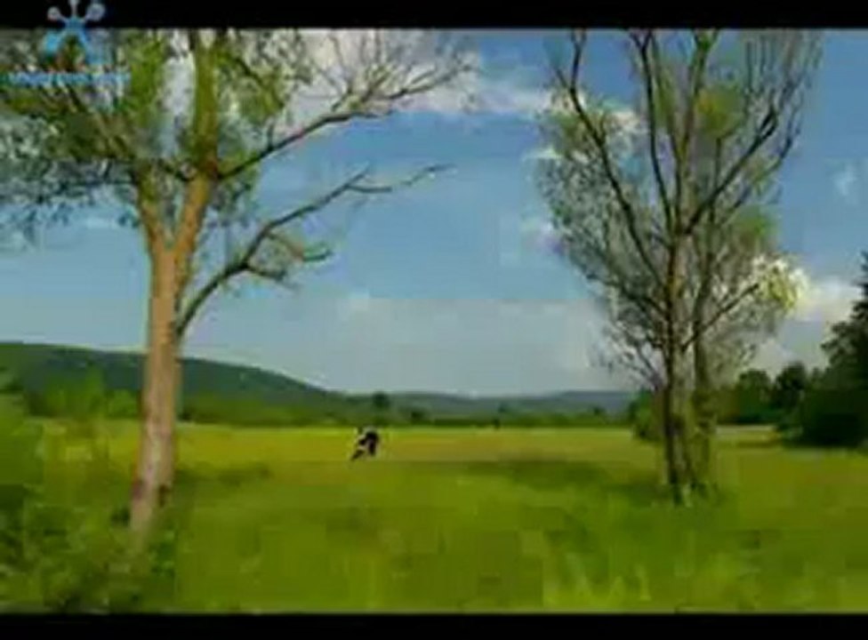 Mima kastrati,,pse s'me thua'' ( official video )