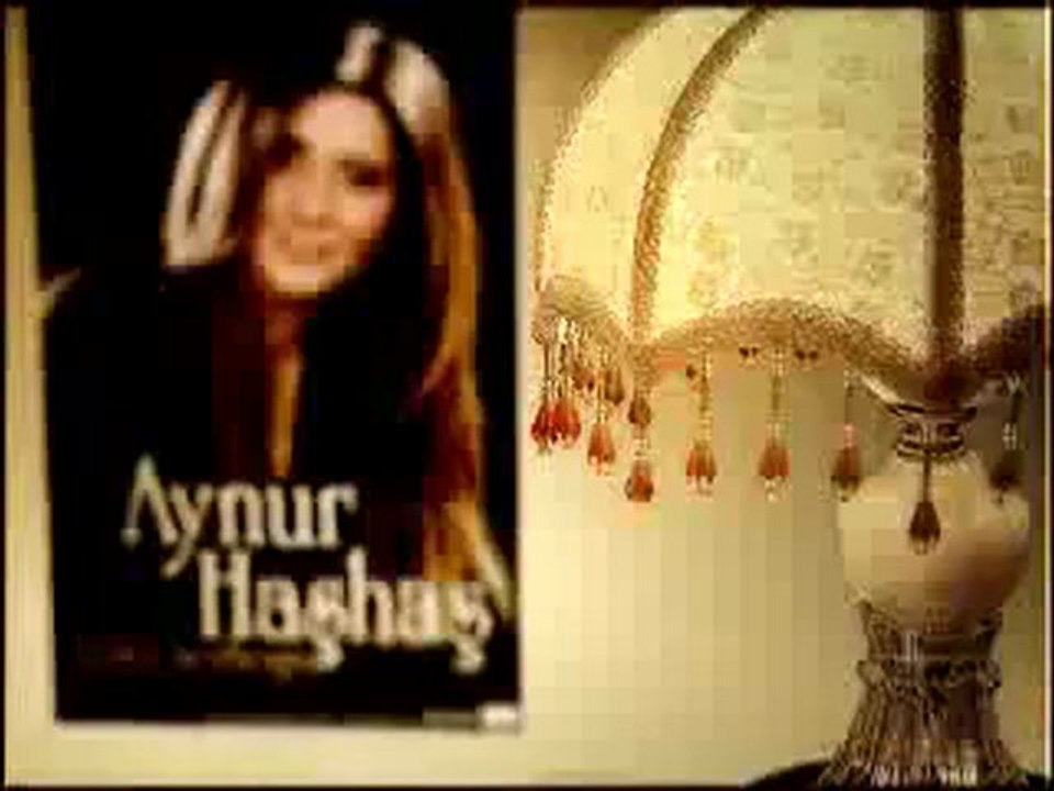 Aynur Haşhaş-Meyhaneci