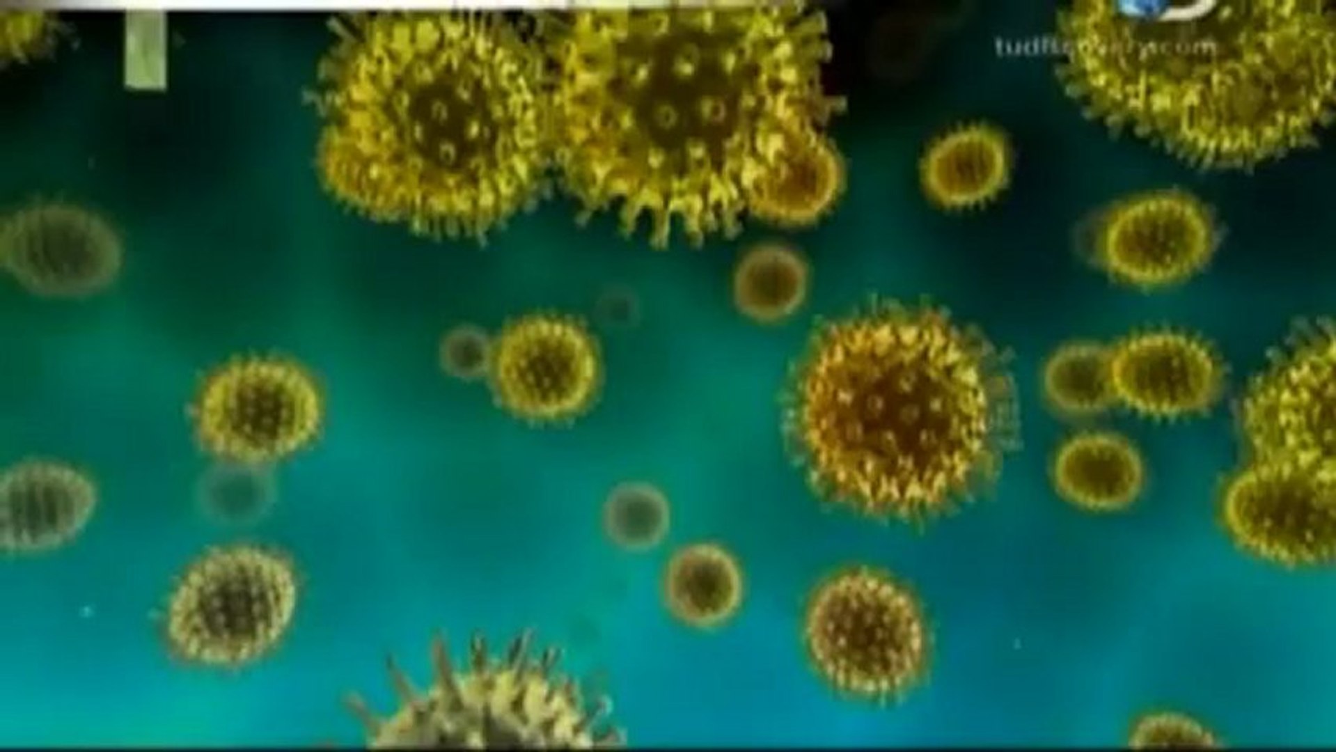 [Discovery Channel] Amenaza Extraterrestre 2