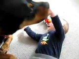 Köpek  bebeği gülme krizine sokuyor  :)))))