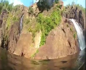 "UÇAN TİMSAH TURİSTE SALDIRIYOR"