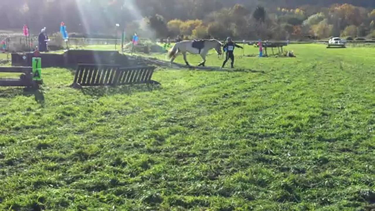 Marine sur le PTV à Saulx le 25/11/2012