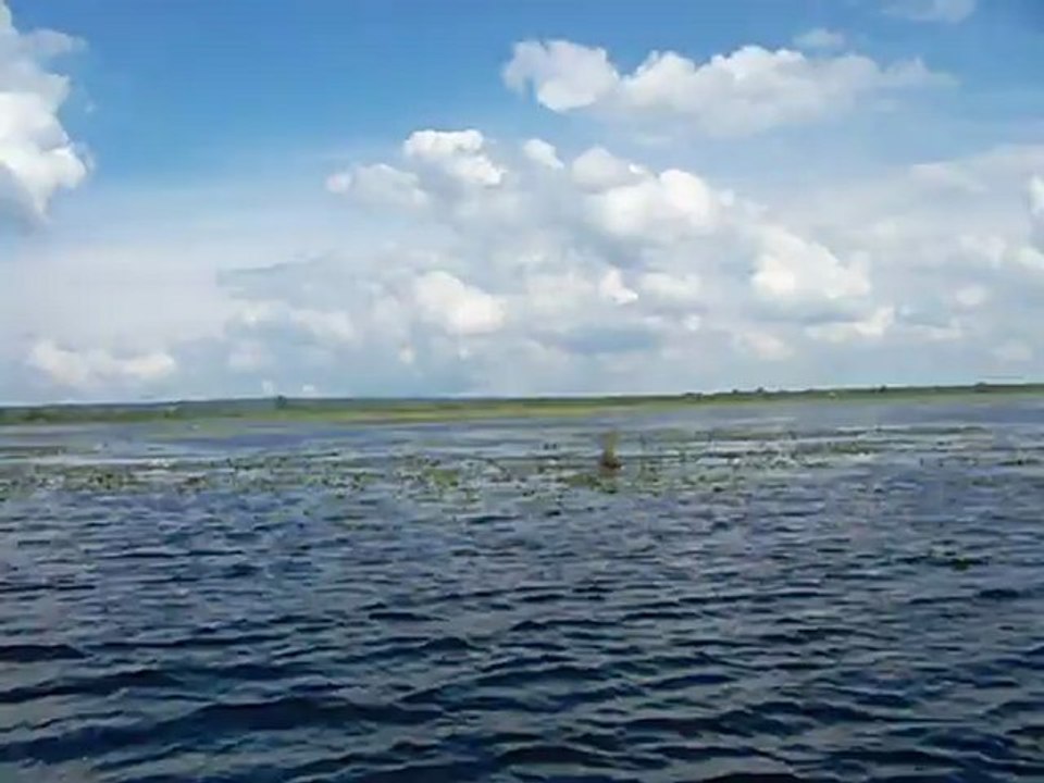 Dróżno2