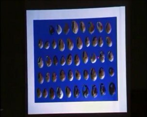 Orígenes del Arte 21 – El collar de abalorios más antiguo del mundo