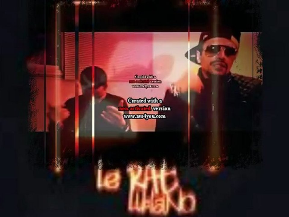 LE RAT LUCIANO wildboy