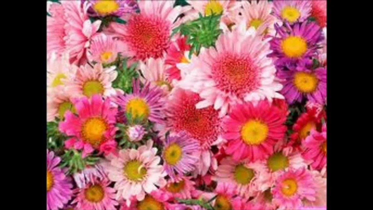 Türkiye’de Online Çiçek Göndermede Lider Çiçekçi