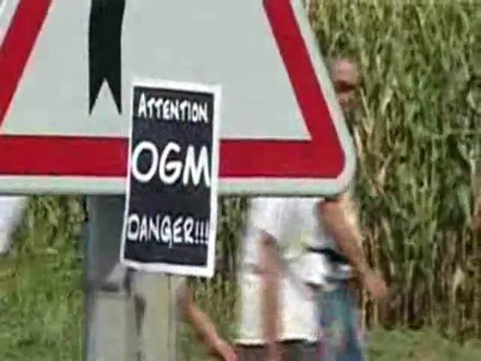 Fauchage OGM avec José Bové (Miradoux Gers 19 Août 2006)
