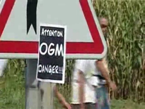 Fauchage OGM avec José Bové (Miradoux Gers 19 Août 2006)