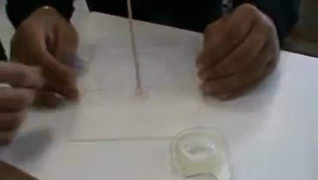 Lycée Raoul Follereau - Nevers (58) : Des voiles et toi : dévoile-toi !