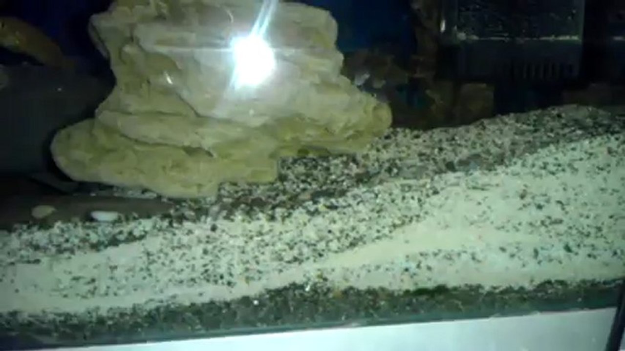 VIDEO0097-0-0-0